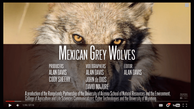 Screen Shot 2016-02-11 at 2.43.45 PM